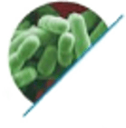 Listeria
