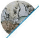 Mold