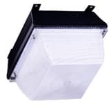Type A LED Canopy and Garage Light