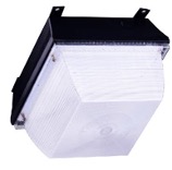Type A LED Canopy and Garage Light