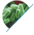 Listeria