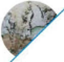 Mold